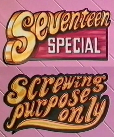 Seventeen Special.Screwing Purpose Only / Анонсы новеньких
