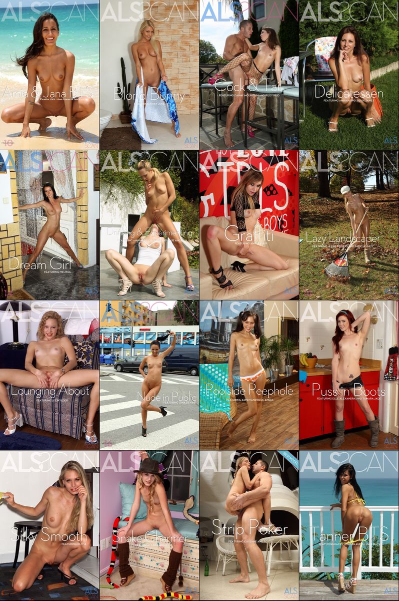 ALSScan - January 2013-01